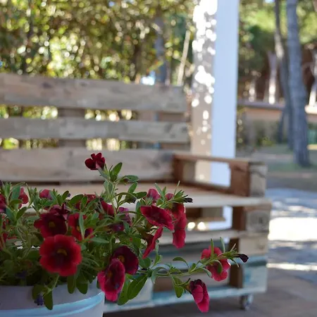 Village Bocche D'albegna منتزه العطل ألبينيا
