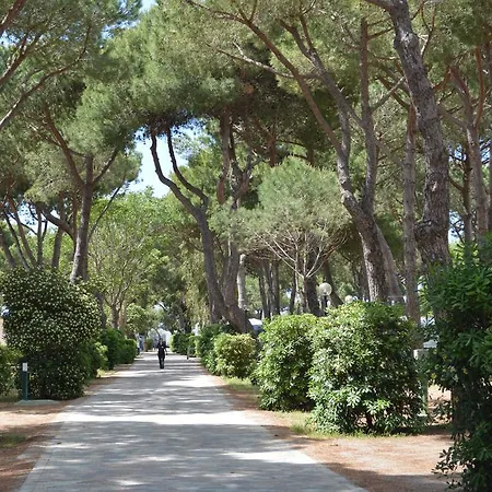Village Bocche D'albegna منتزه العطل